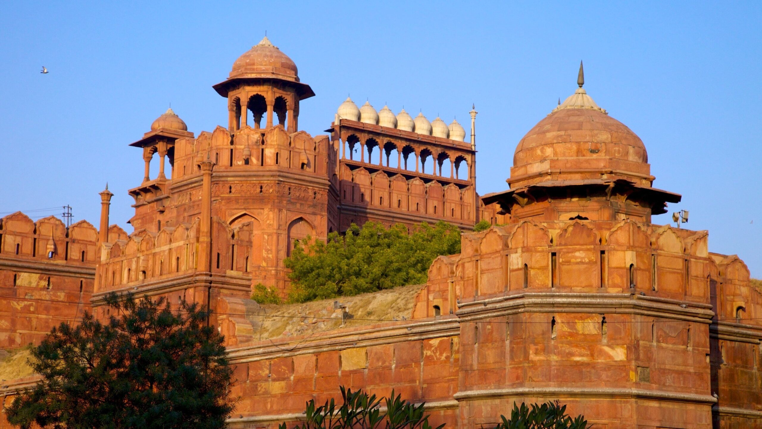 Red Fort Delhi: History, Architecture, Timings, Ticket Price & Complete Travel Guide